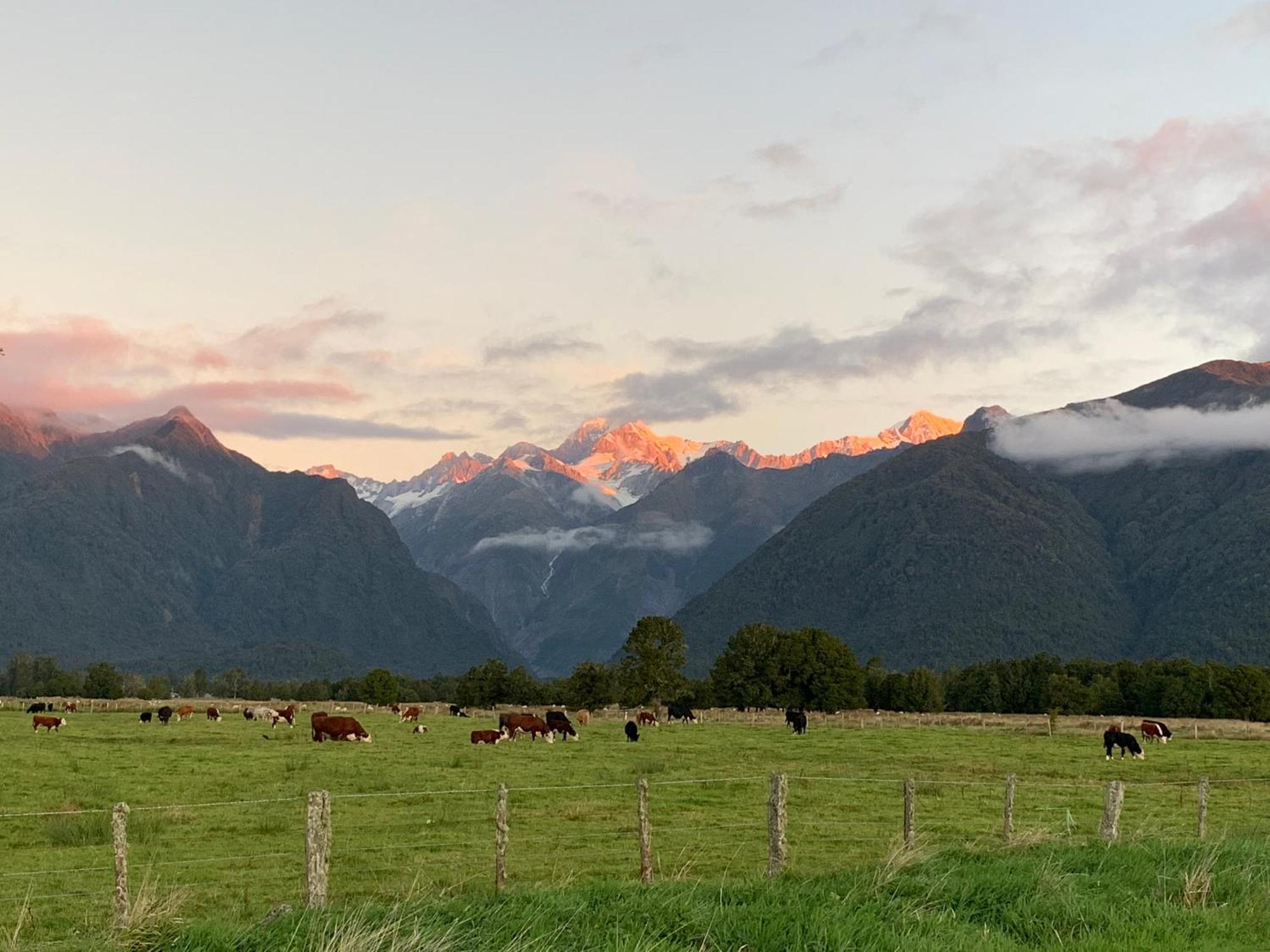 High Peaks Hotel Fox Glacier Exterior foto